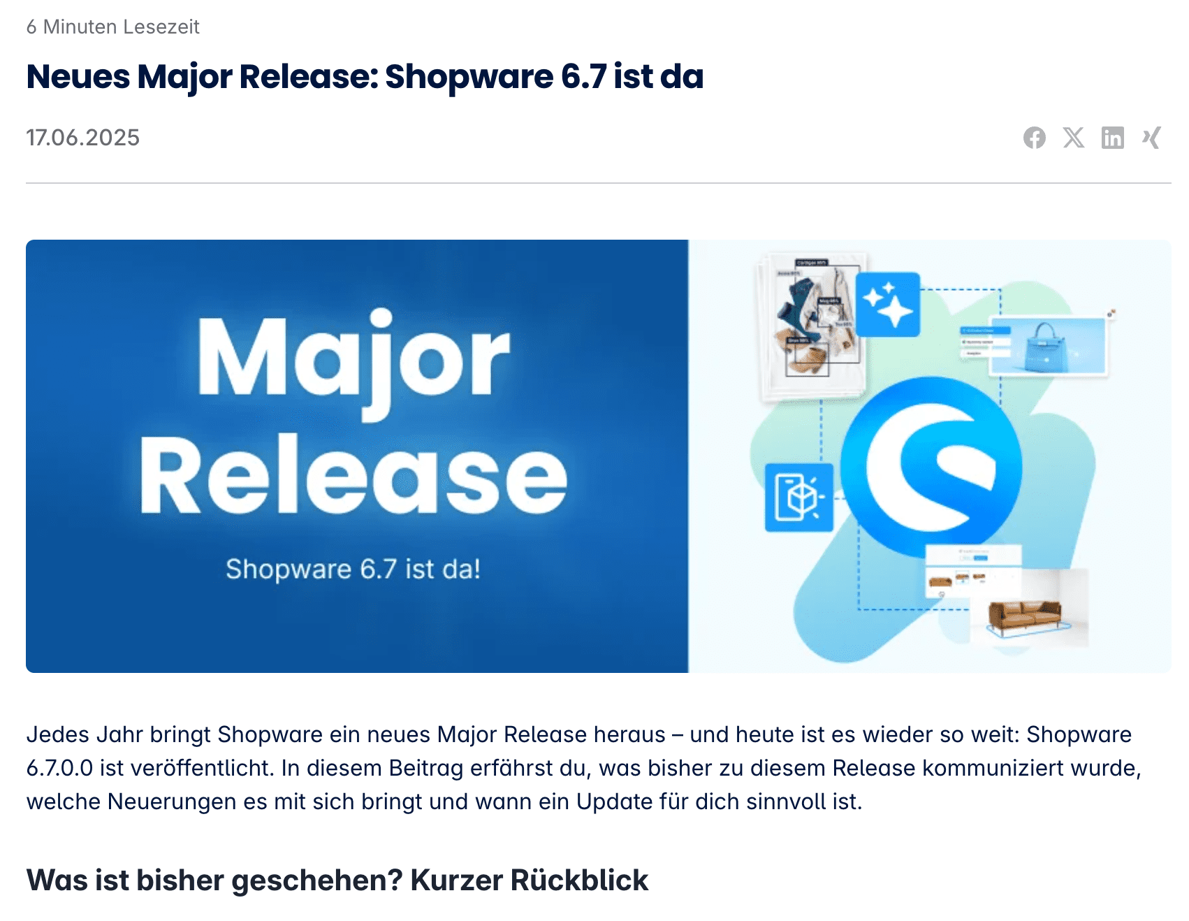 Shopware_BlogPost BFSG