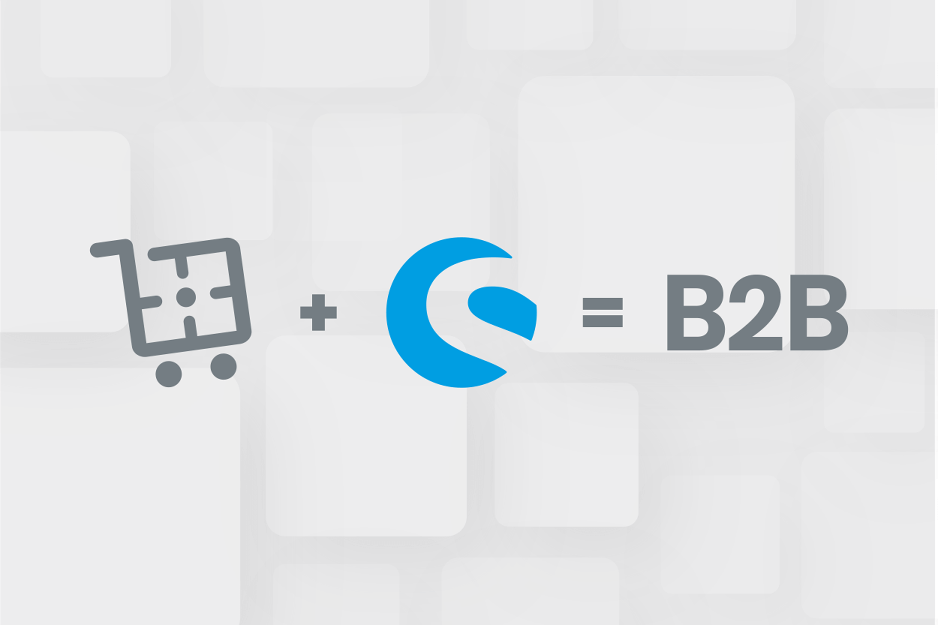 eCommerce + Shopware = B2Bsellers-Suite!