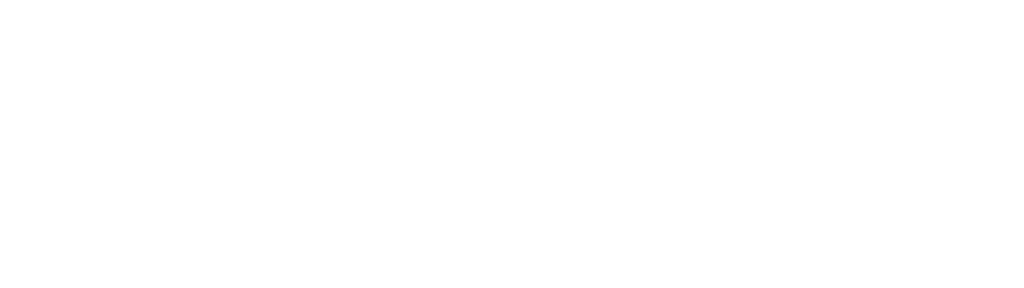 Shopware-Alternative Magento