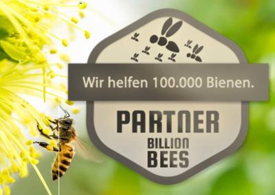 Wir sind Bienen-Paten – 100.000 Bienen summen.