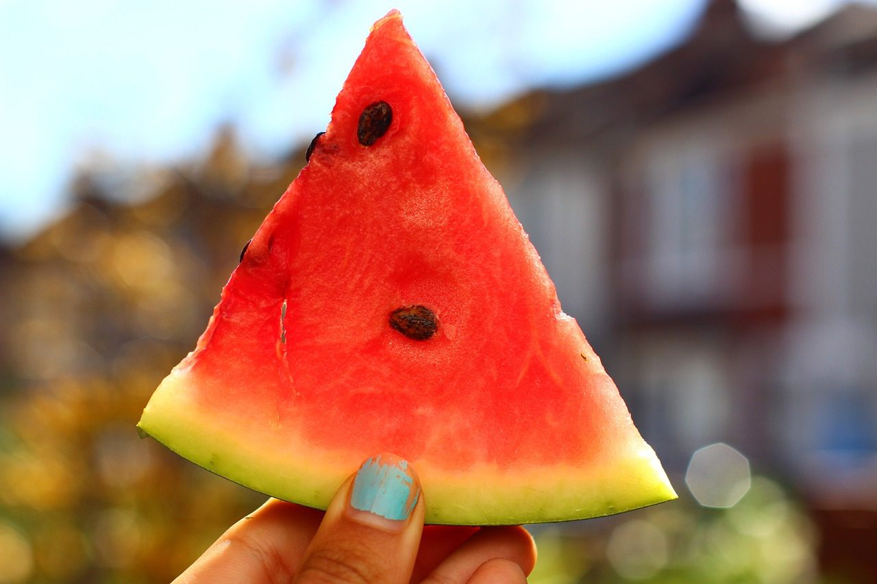watermelon-5539737_1280 BFSG